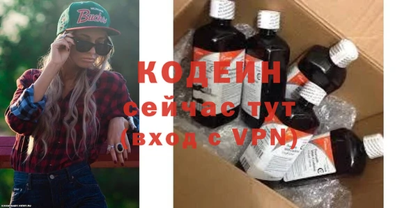 шишки Горняк