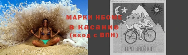 шишки Горняк
