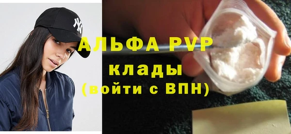 шишки Горняк
