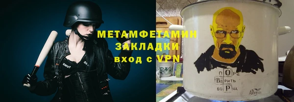 шишки Горняк