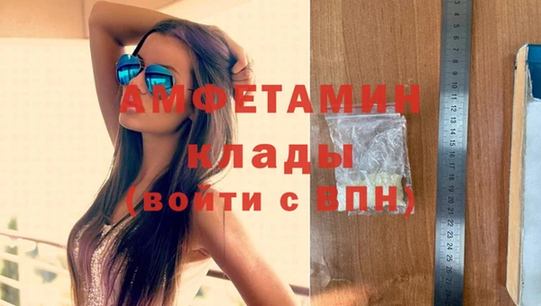 шишки Горняк
