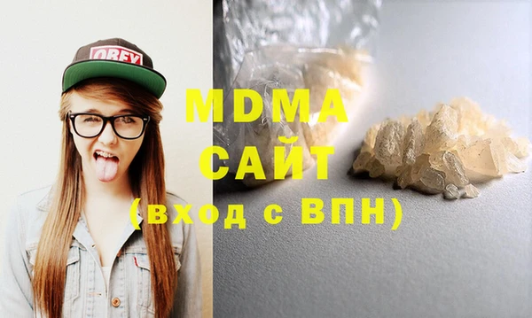 шишки Горняк