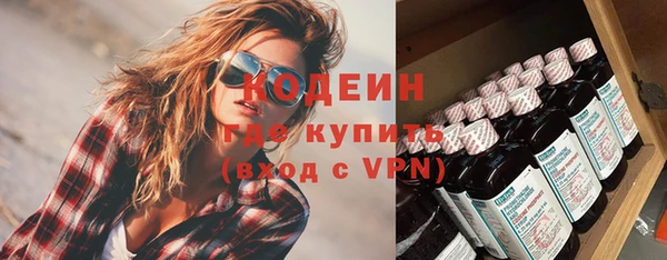 шишки Горняк