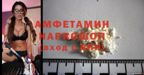 амф Щёлкино