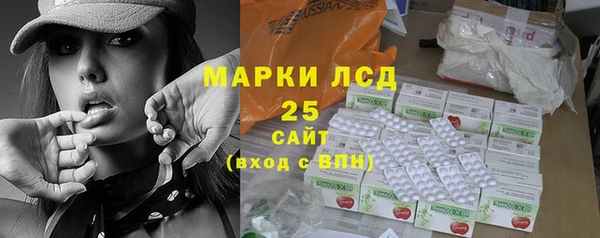 шишки Горняк