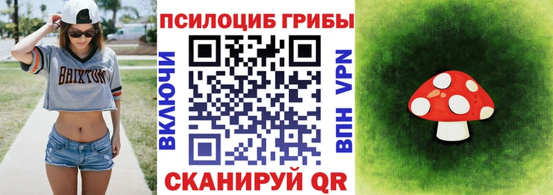 даркнет сайт omg ссылки Галлюциногенные грибы Psilocybine cubensis нарко площадка какой сайт Маркс