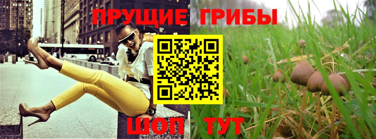 Галлюциногенные грибы Psilocybe  Галлюциногенные грибы мицелий  Маркс 