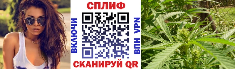 купить наркоту  Маркс  Шишки марихуана White Widow 